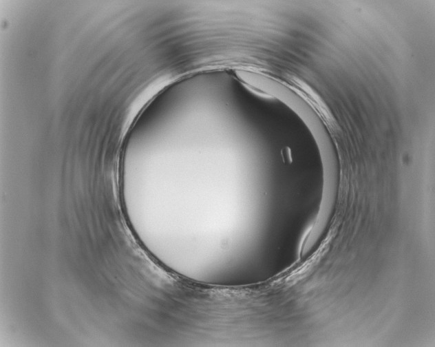 X0000086930812200705071351