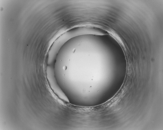 X0000086930813200705071351