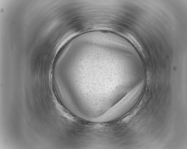 X0000086930814200705071351