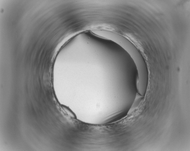 X0000086930816200705071351