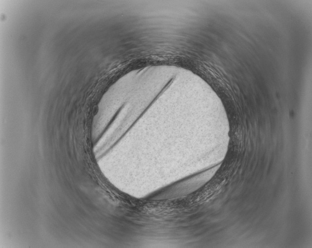 X0000086930817200705071351