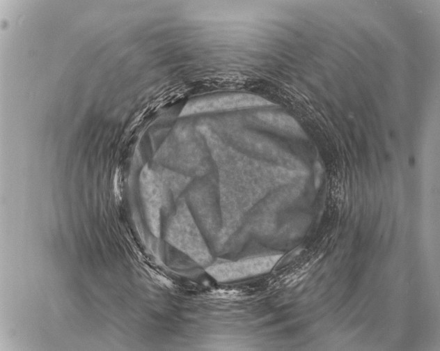 X0000086930818200705071351