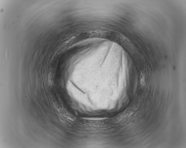 X0000086930819200705071351