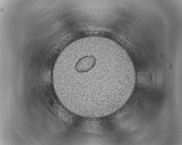 X0000086930820200705071351