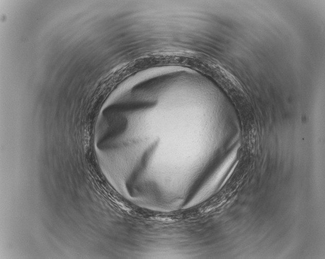 X0000086930821200705071351