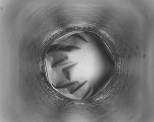 X0000086930822200705071351