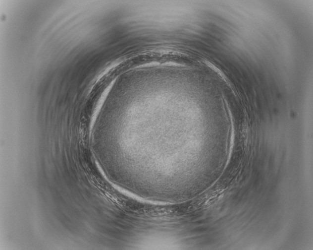 X0000086930823200705071351