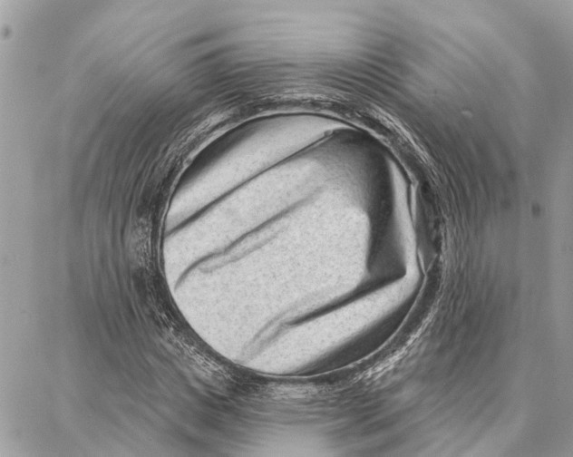 X0000086930825200705071351