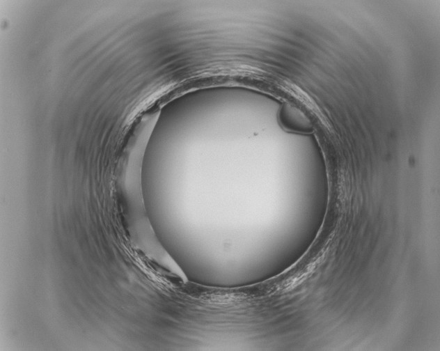 X0000086930826200705071351