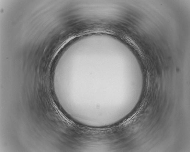 X0000086930828200705071351