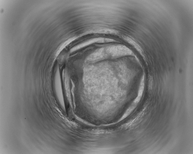 X0000086930829200705071351