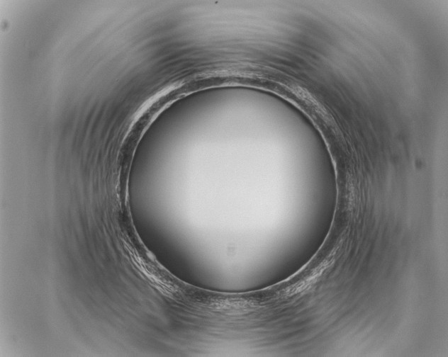 X0000086930830200705071351