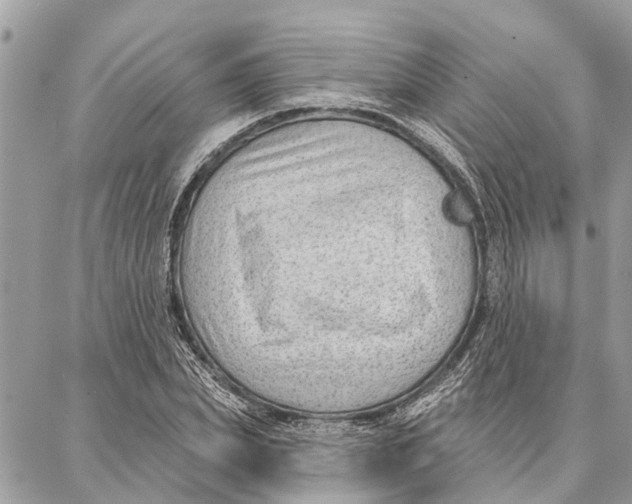 X0000086930831200705071351