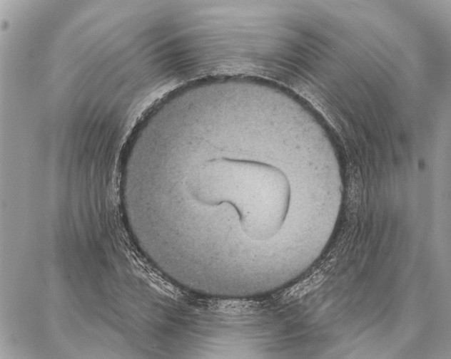 X0000086930832200705071351