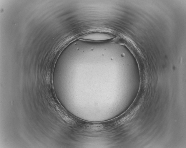 X0000086930833200705071351