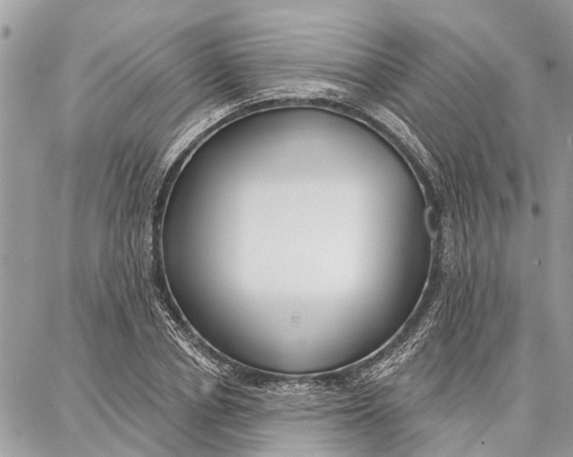 X0000086930834200705071351