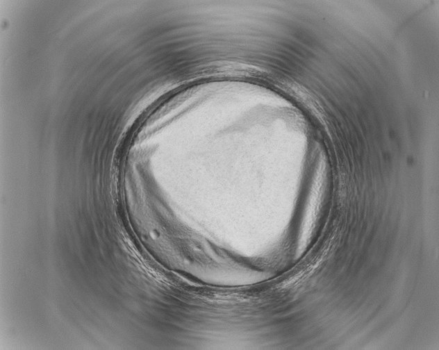 X0000086930835200705071351