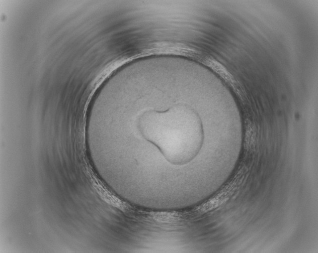 X0000086930836200705071351