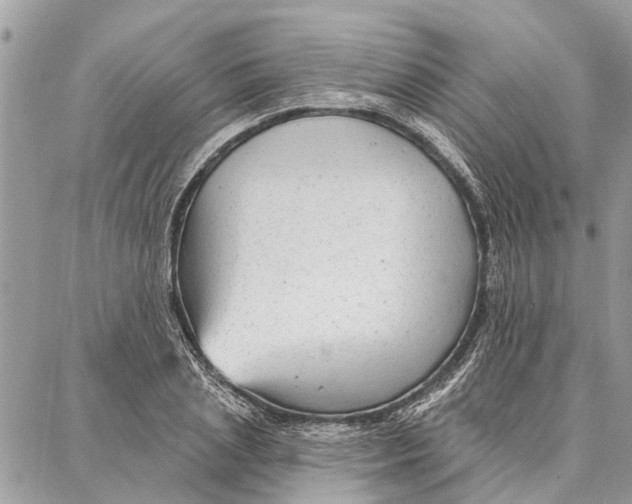 X0000086930837200705071351