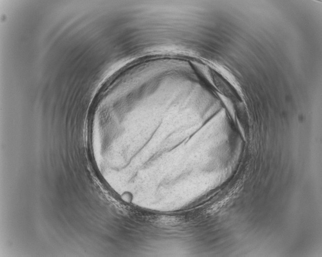 X0000086930839200705071351