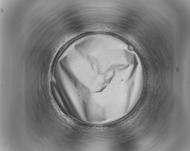 X0000086930840200705071351