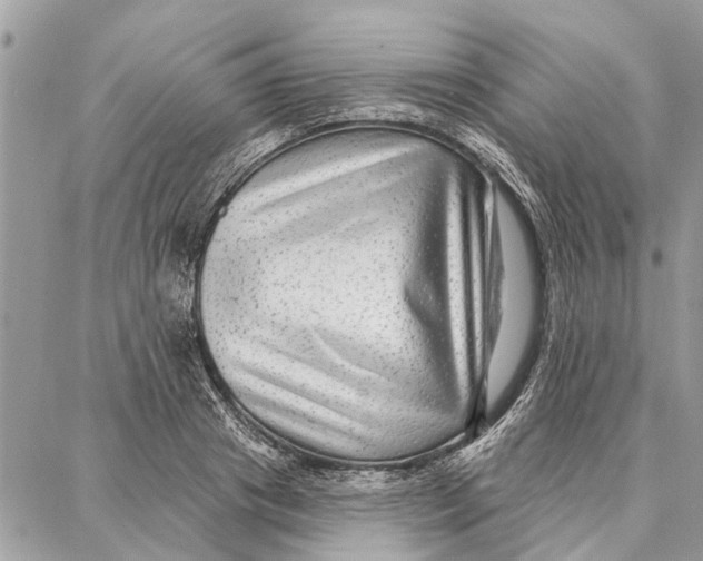 X0000086930841200705071351