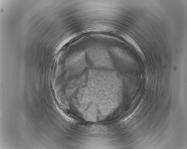 X0000086930842200705071351