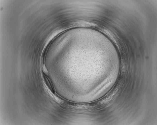 X0000086930843200705071351