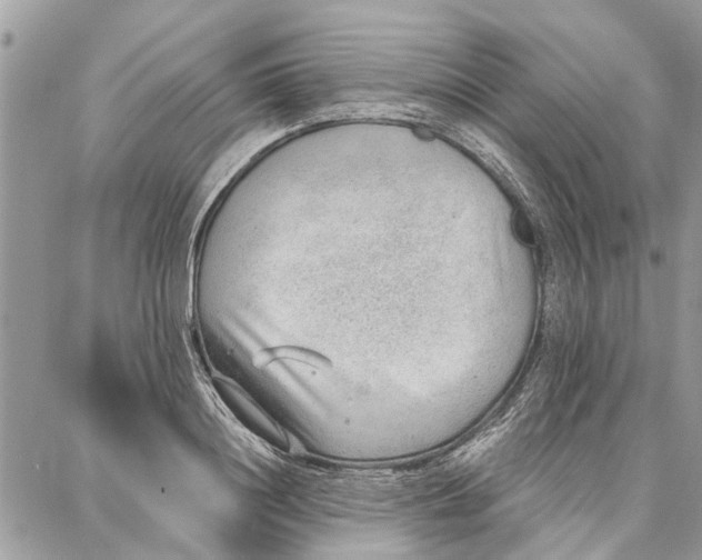 X0000086930844200705071351