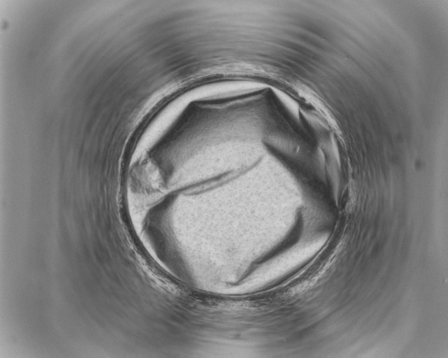 X0000086930845200705071351