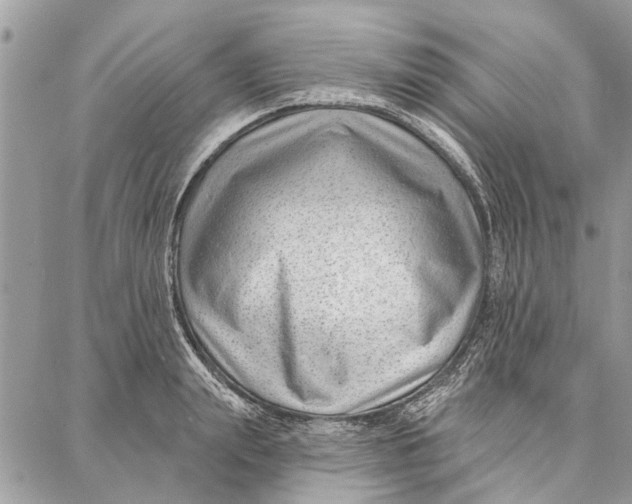 X0000086930847200705071351