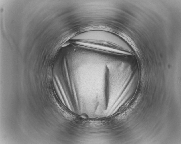 X0000086930849200705071351