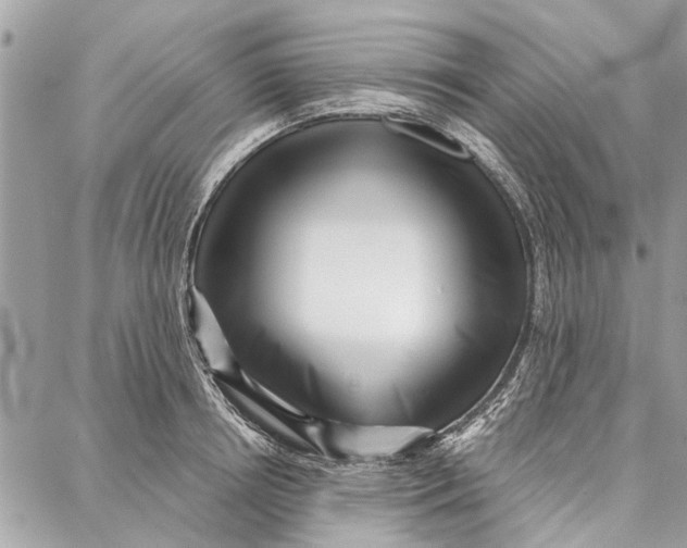 X0000086930850200705071351