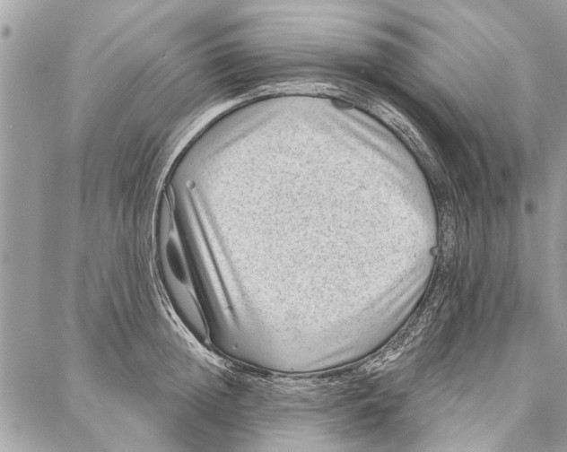 X0000086930852200705071351