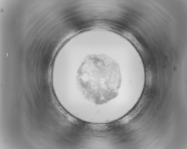 X0000086930856200705071351