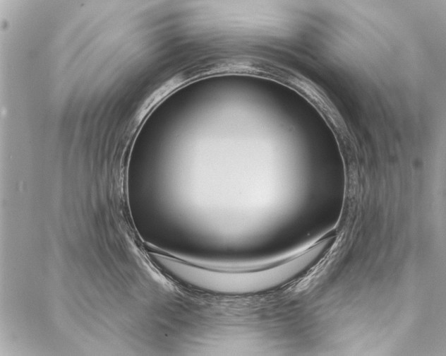 X0000086930858200705071351