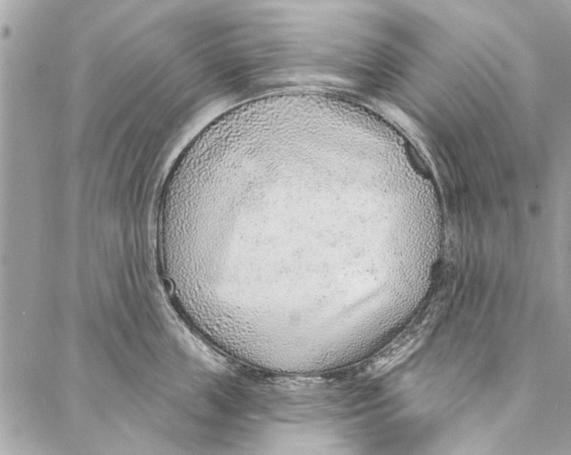 X0000086930859200705071351