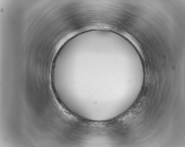 X0000086930861200705071351