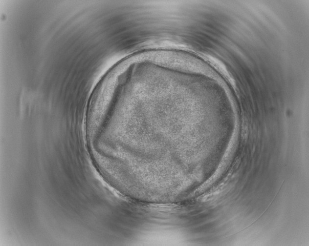 X0000086930863200705071351