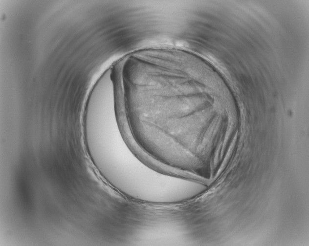 X0000086930864200705071351