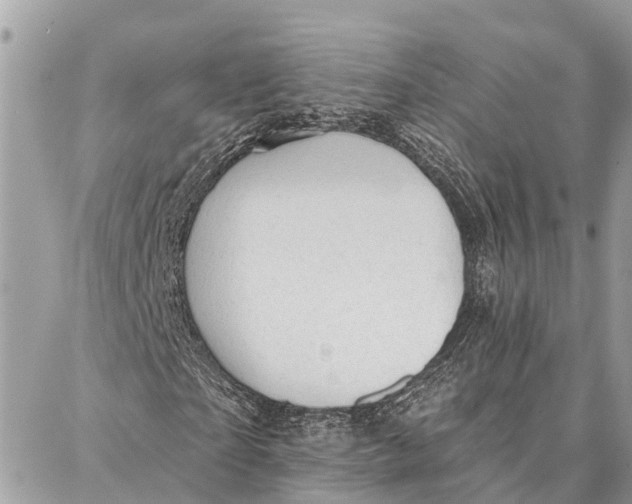 X0000086930865200705071351