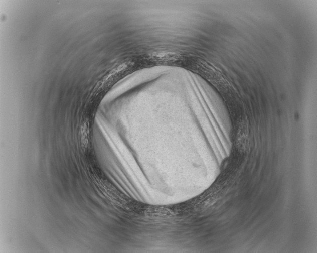 X0000086930866200705071350