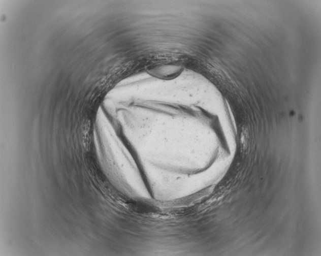 X0000086930867200705071350