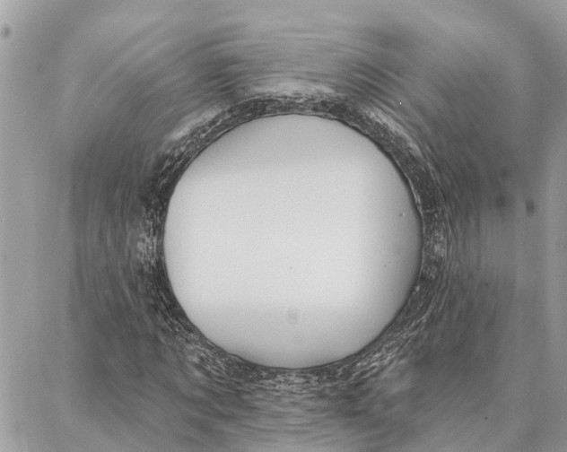 X0000086930869200705071350