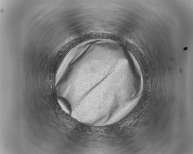 X0000086930870200705071350