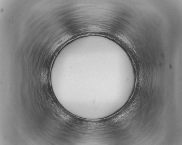 X0000086930873200705071350