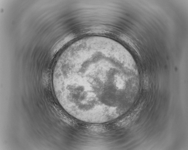 X0000086930874200705071350