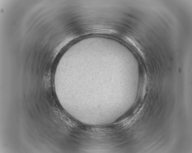 X0000086930875200705071350