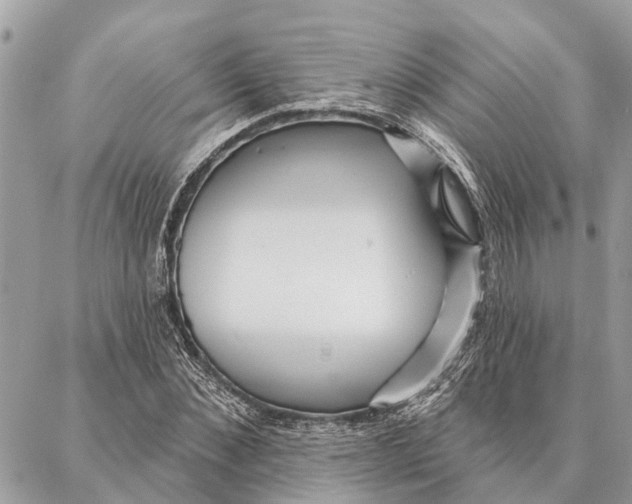 X0000086930876200705071350