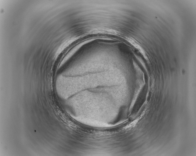 X0000086930877200705071350